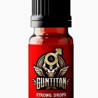 GunTitan — снимка 3