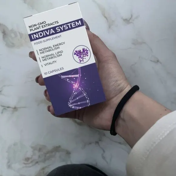 Indiva System — Bild 1