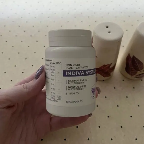 Indiva System — Bild 3