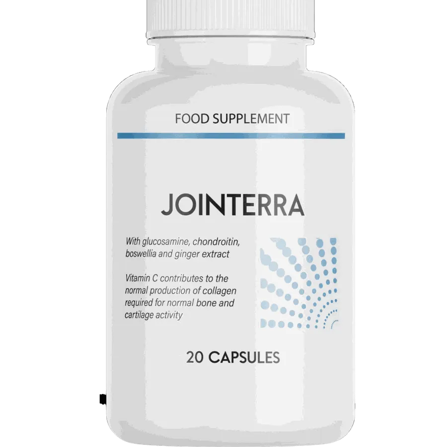 Jointerra — fotografija 1