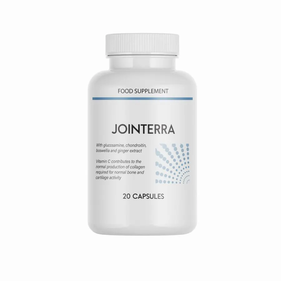 Jointerra — fotografija 2